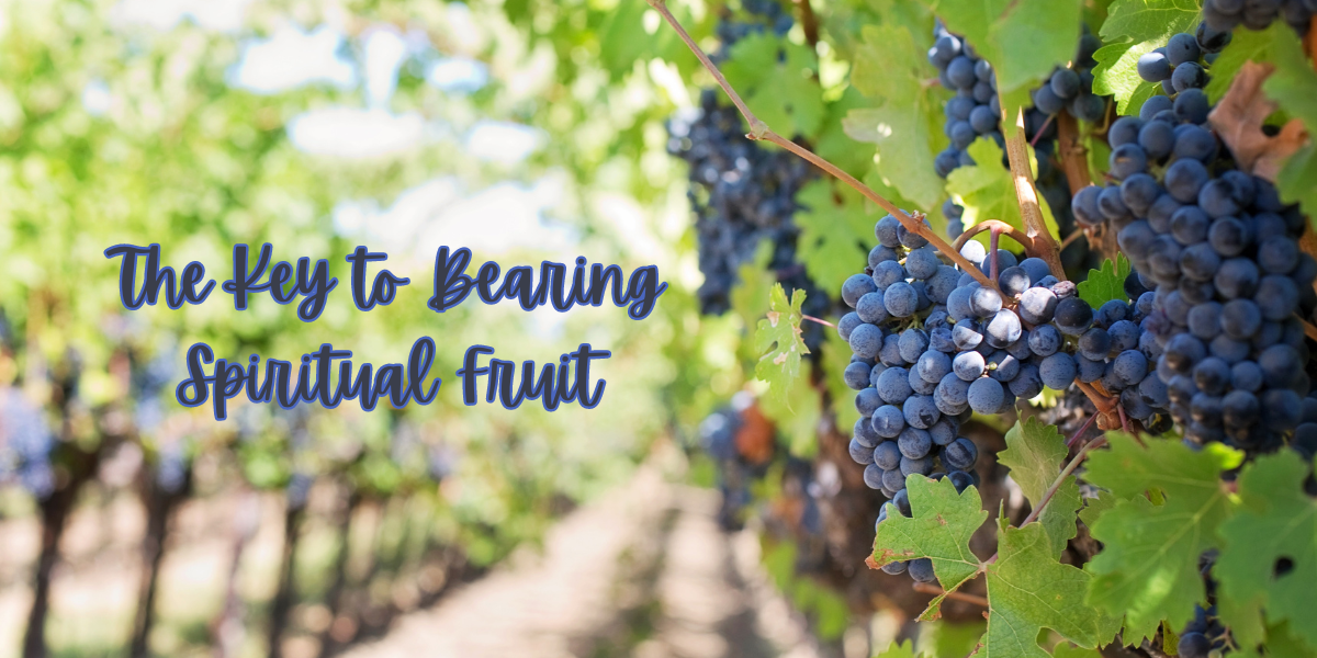Abide in Christ: The Key to Bearing Spiritual Fruit