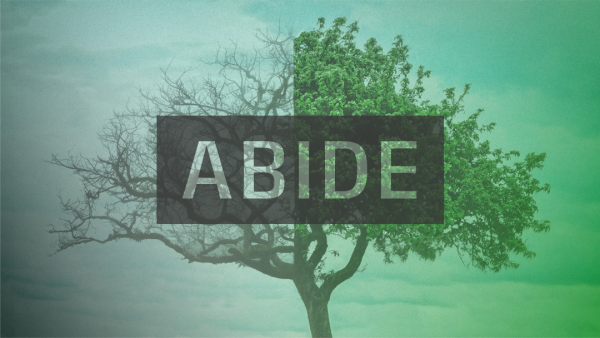 Abide
